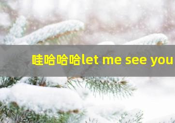 哇哈哈哈let me see you